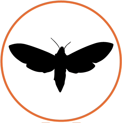 Ant - Ant (500x468)