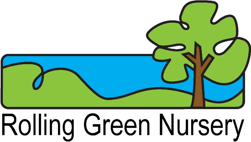 Green Coffee 800 (800x460)