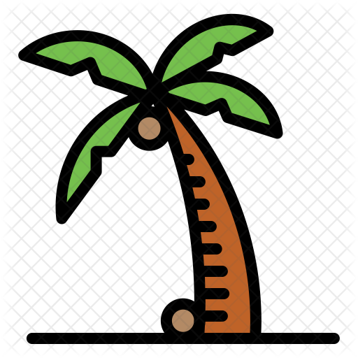 Coconut Icon - Coconut (512x512)