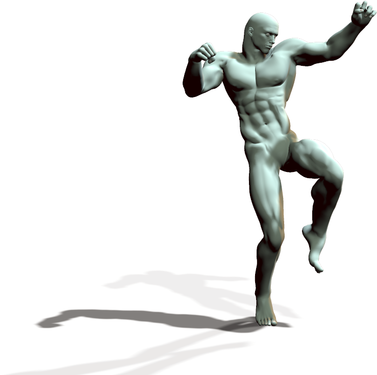 Reference Body Anatomy - Figurine (1449x822)