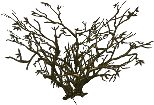 Low Poly Dead Tree Pack - Painting (1024x1024)