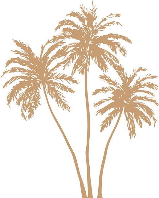 Gold Palm Tree Png (516x642)