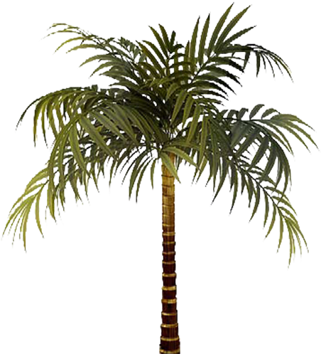Tubes Arbres / Arbustes / Feuillages - 盆栽 (477x512)