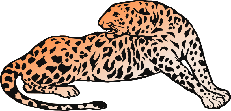 Medium Image - Medium Image (2400x1157)