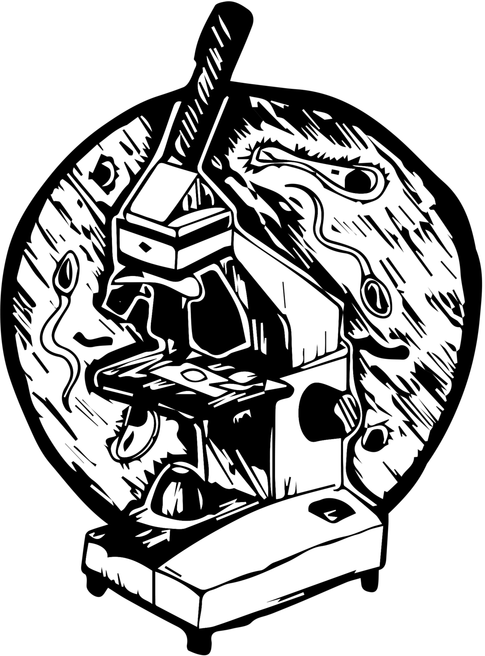 Microscope - Microscope (1000x1352)