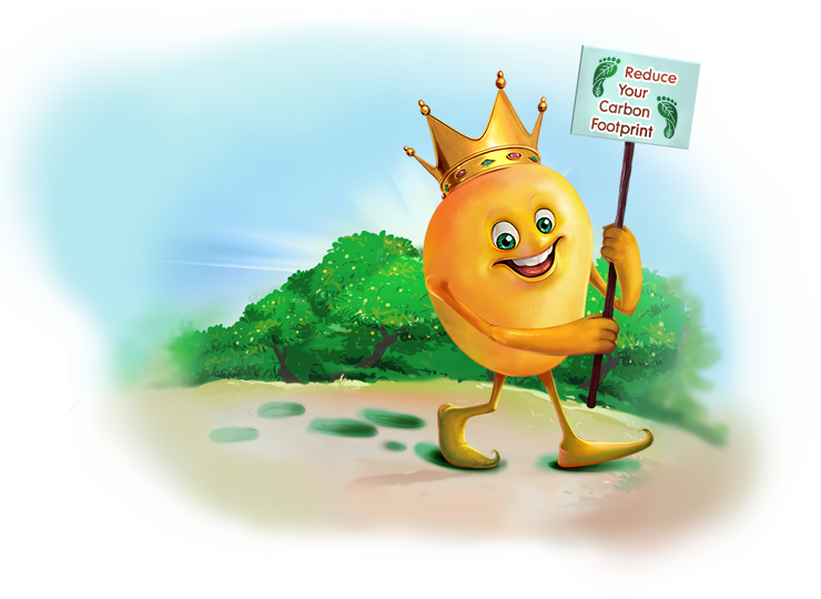 Why Hafoos Mango - Mango (740x540)