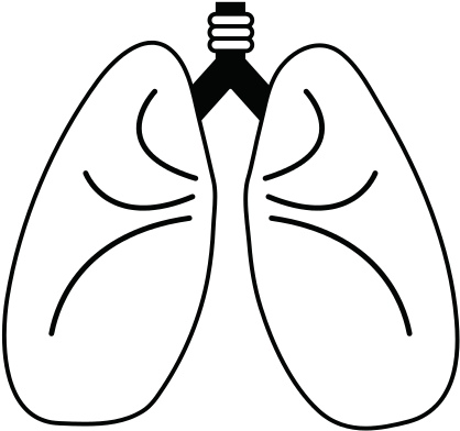 Lungs Cartoon Icon Image - Illustration (550x550)
