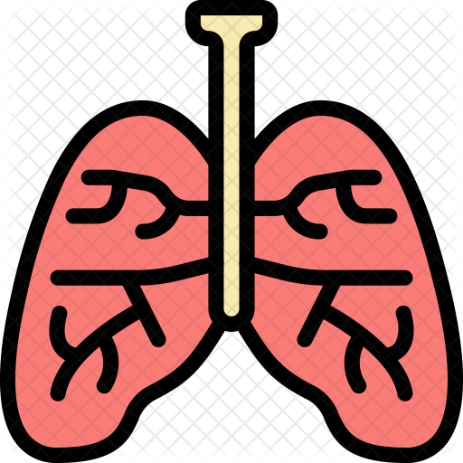 Lungs Icon - Smoking (512x512)