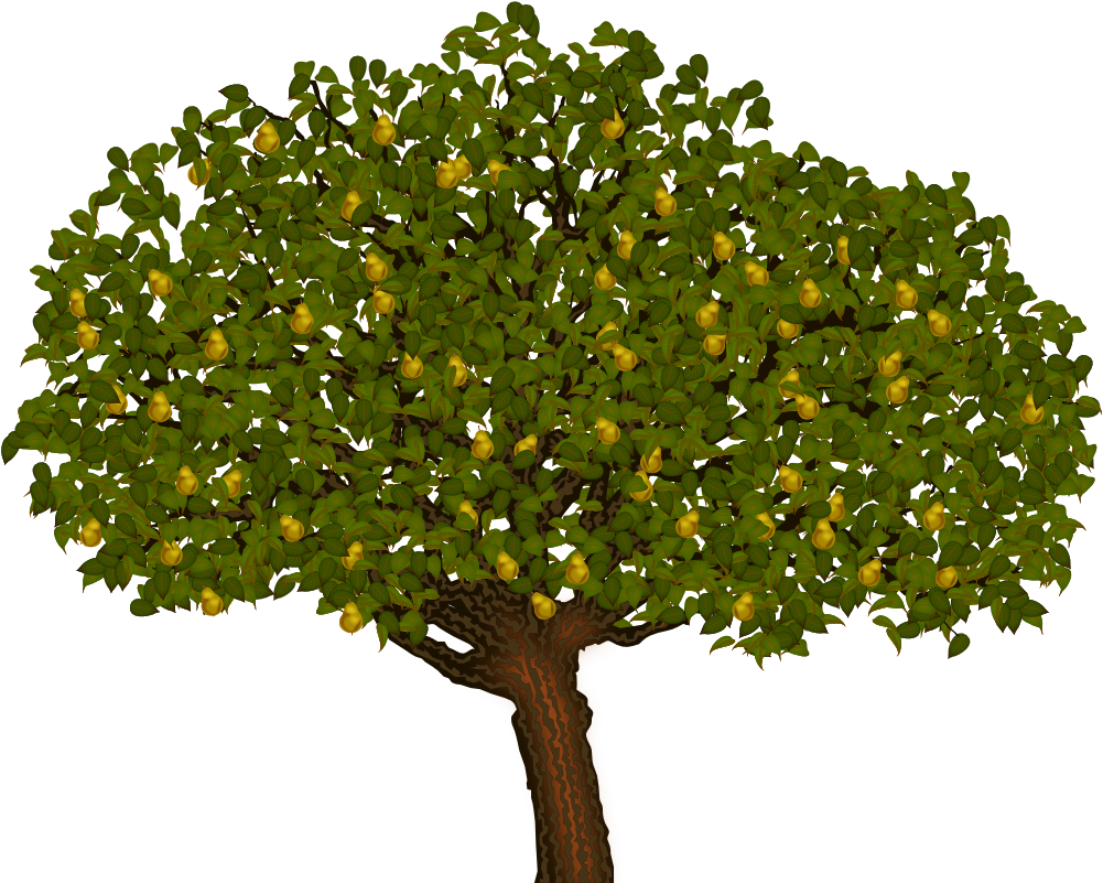 If - Maidenhair Tree (1024x1024)