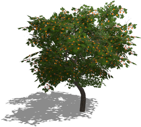 Thumbnail A4e56368 317a 4b66 9ecc B77a9a178331 Thumbnail - Tree (512x512)