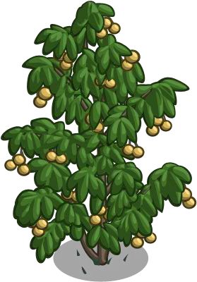 Longan2-icon - Longan Tree Farmville (300x400)