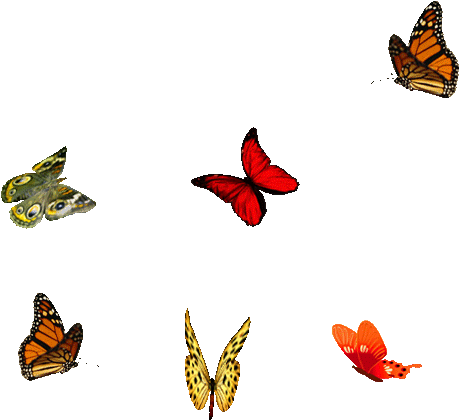 Butterflies - A And A (500x450)
