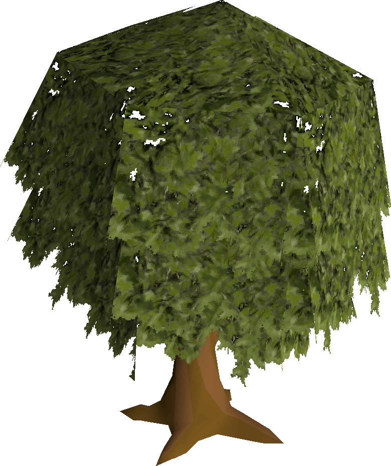 Oak Tree Built - Oak (780x931)