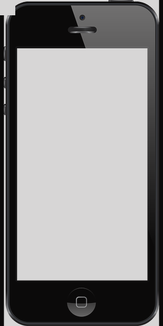 Phone Image Transparent (320x640)
