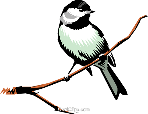 Chickadee - Free Shipping Bird & Branch On Pastel Pink Background (480x369)