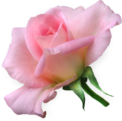 Soft (400x395)