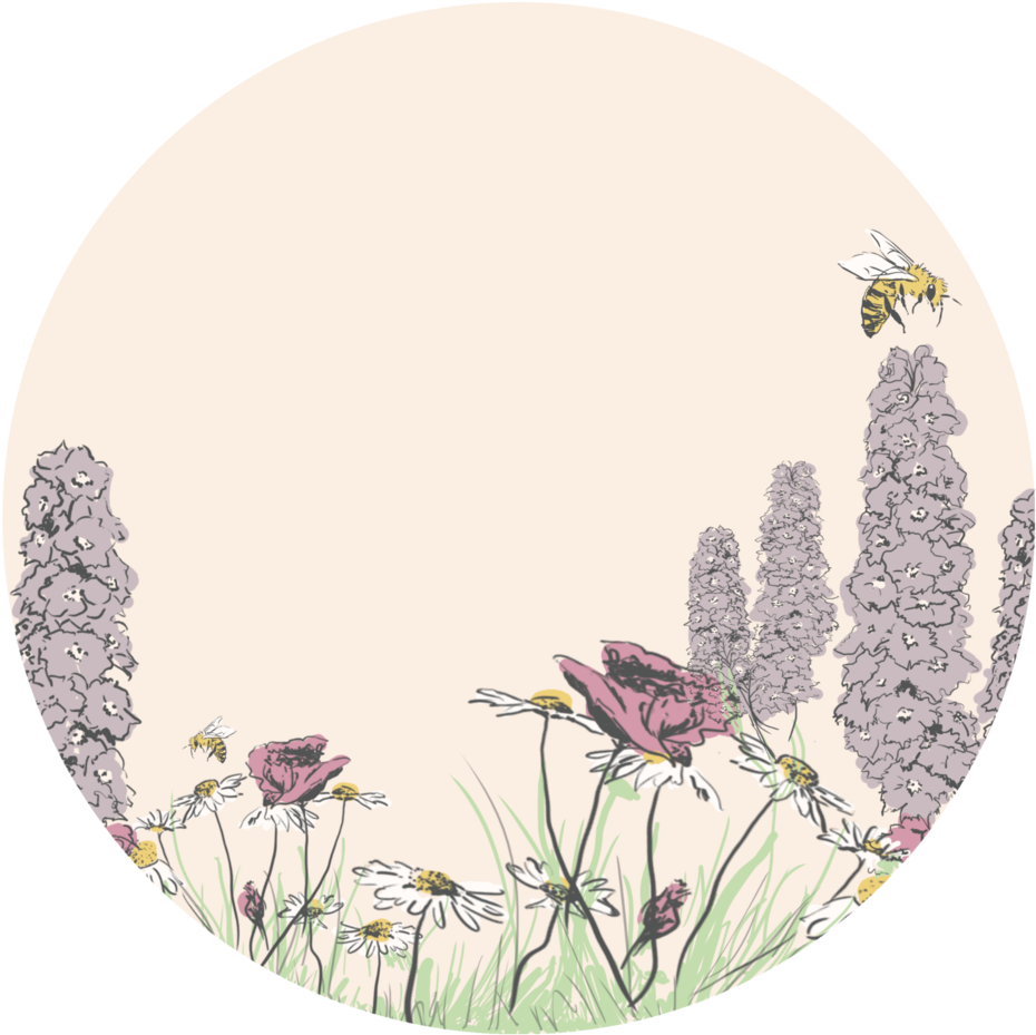 Roundwildflower - Roundwildflower (1000x987)