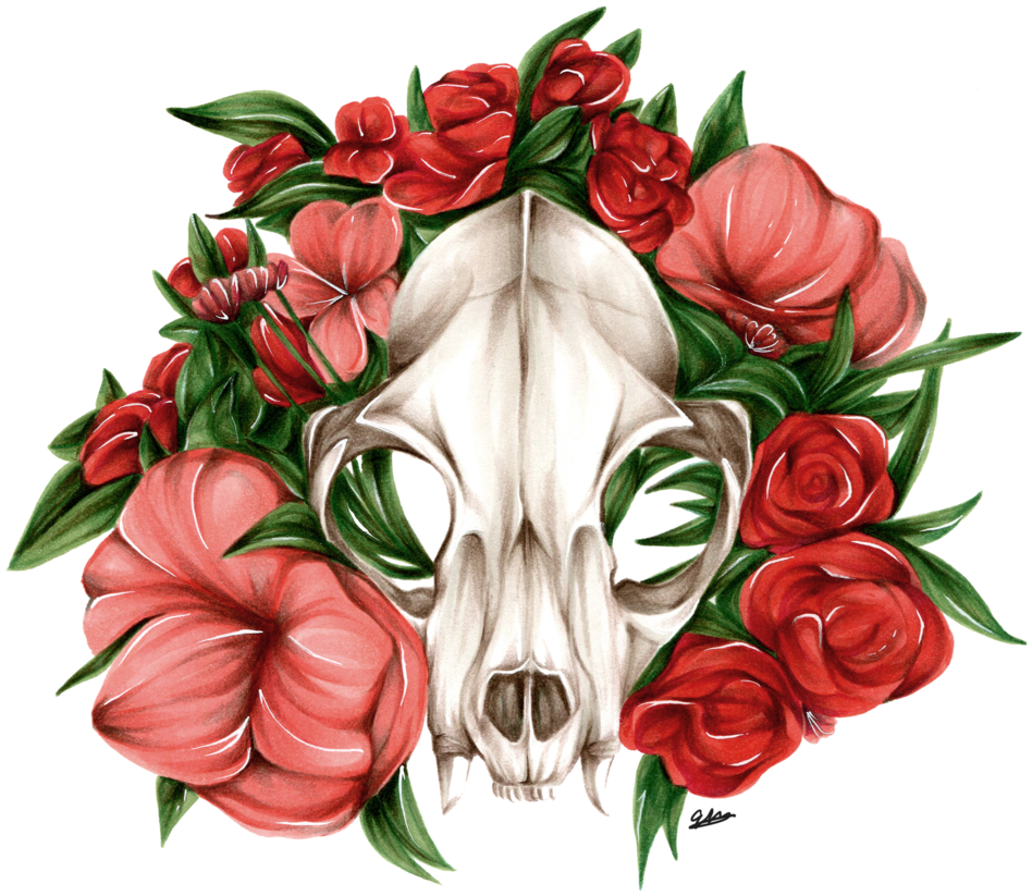 Bobcat Skull - Bobcat Skull (1000x902)