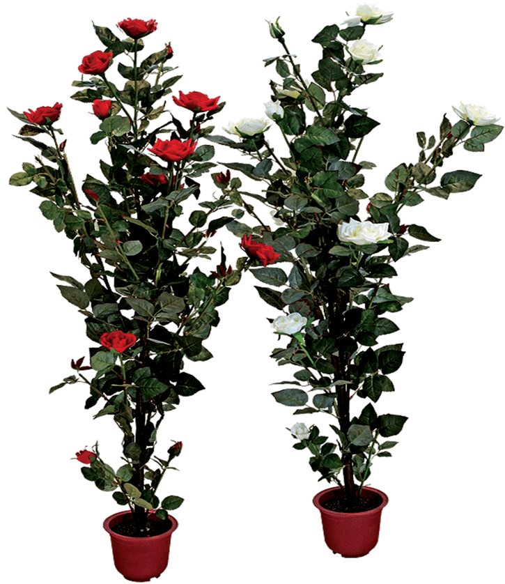 Transparent Flower Pot Png (1024x1024)