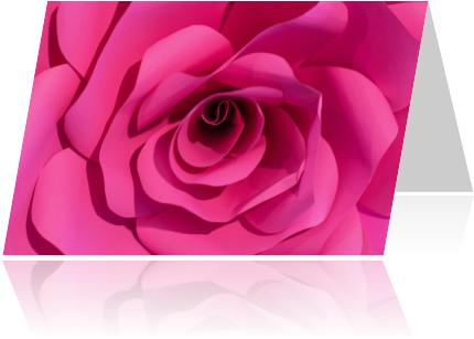 Garden Roses (455x350)