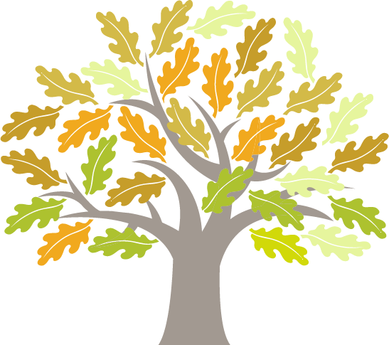 Tree - - Tree - (547x485)