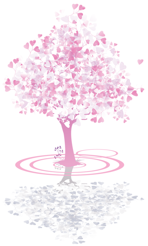 Spring Cherry Trees - Tree (483x800)