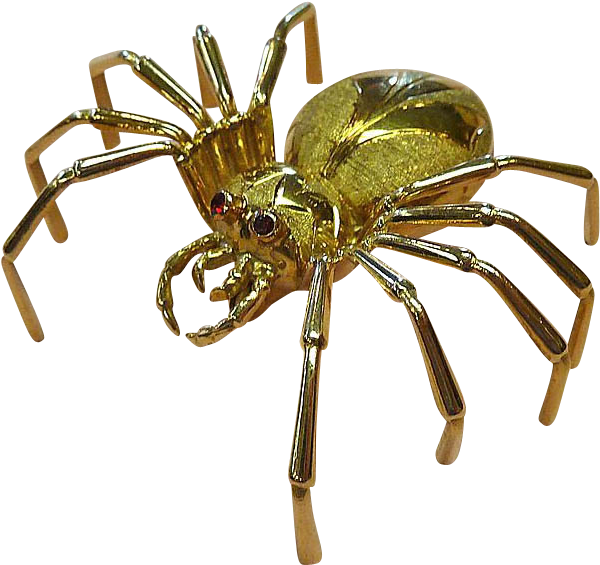 Spider (792x792)