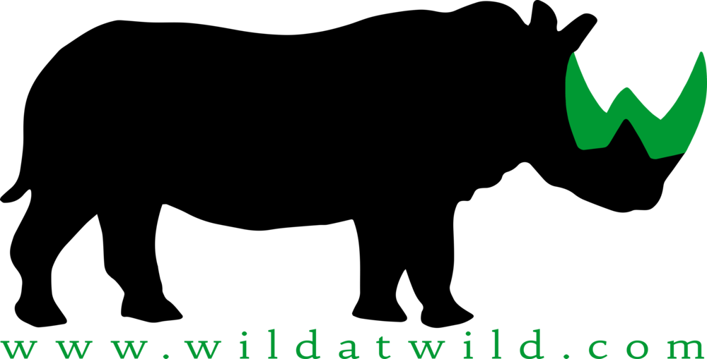 Wilderness Clip Art (1000x509)