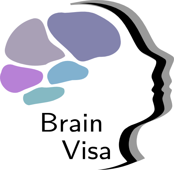 Logo - Brainvisa (576x563)