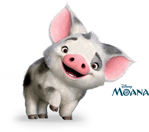 Pua Moana (527x465)