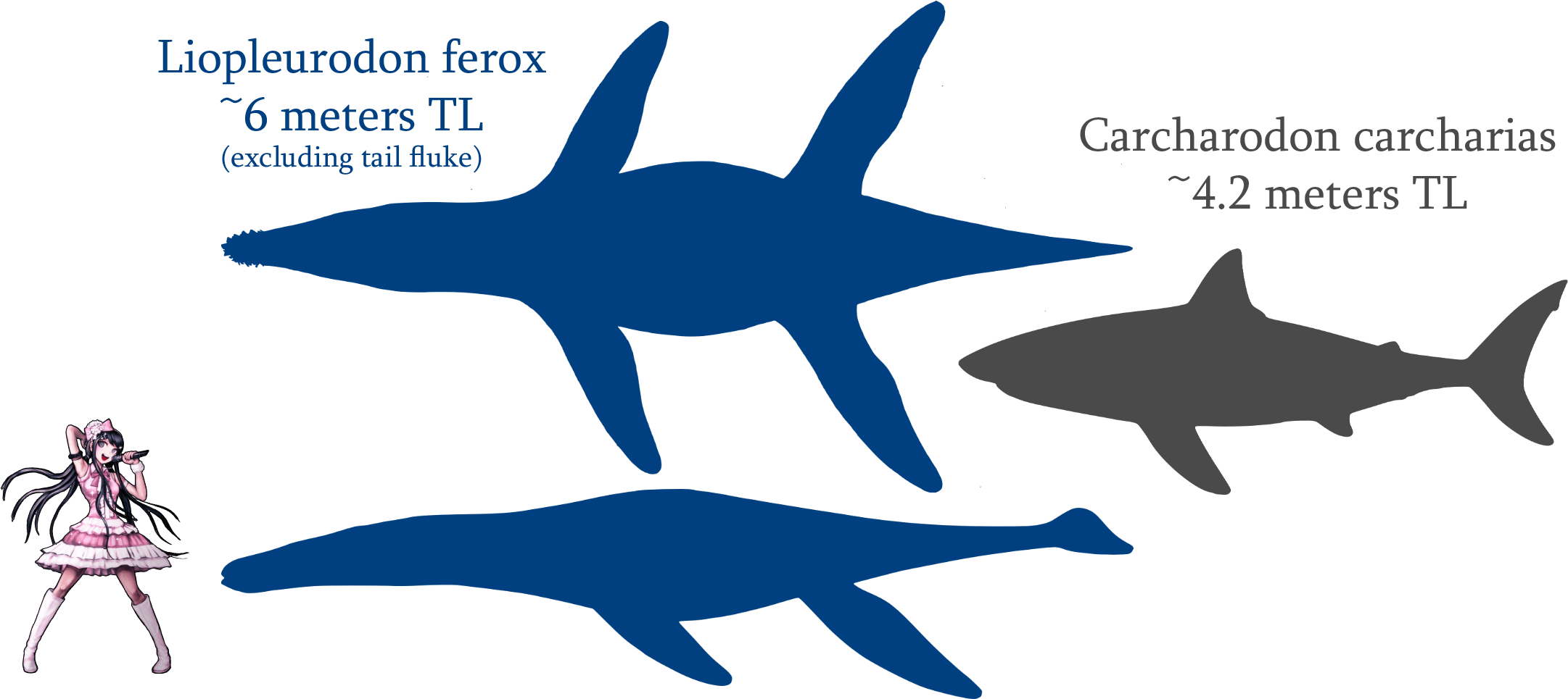 Liopleurodon (2236x1039)