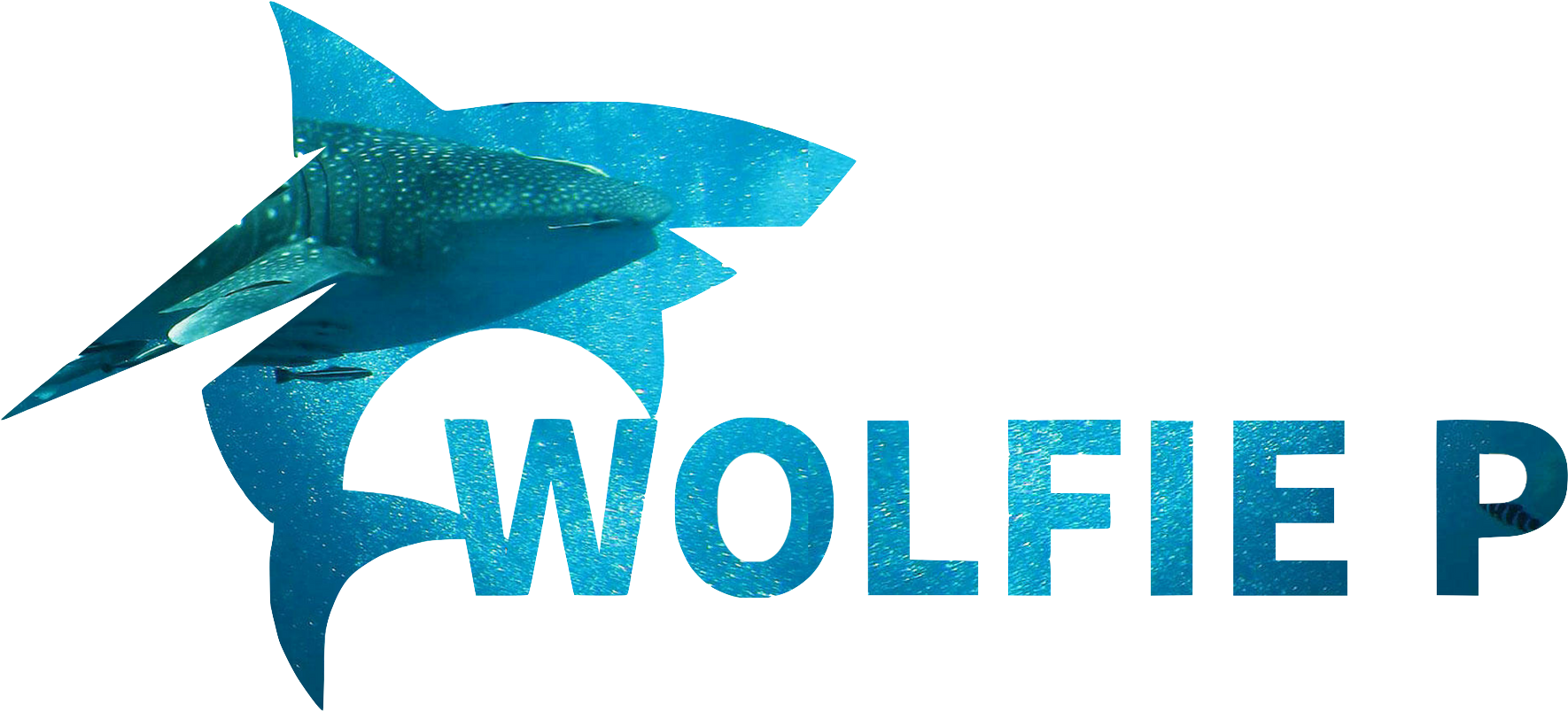 Back Home - Shark (2560x1026)