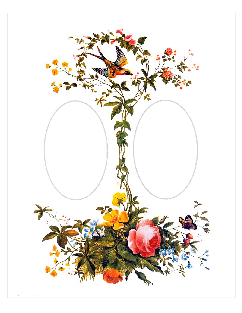 Png - Frame - Bird Collage (816x1056)