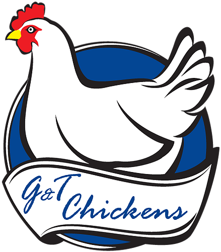 Chicken (600x842)