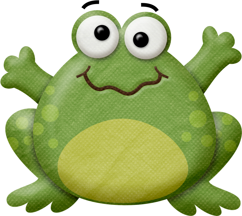 Animal - Bufo (900x780)