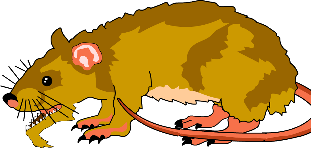 Huge Rat - Huge Rat (1013x501)
