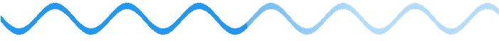 Wavy Line No Background (700x259)