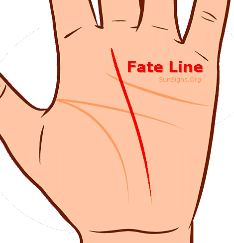 How To Read Palms - Orange (470x488)