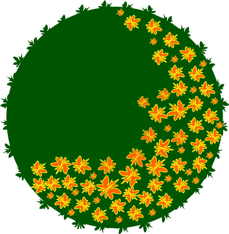 By Jpenrici - Sunflower (800x800)