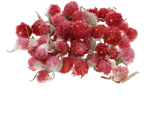 Bouquet (500x500)