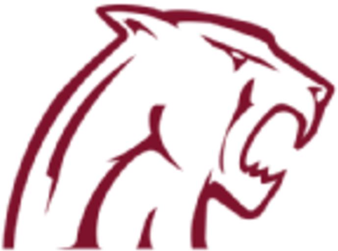 Concord Mountain Lions (720x720)