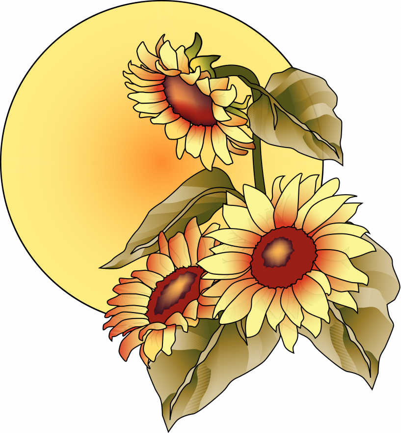 Sunflower Clipart (817x881)