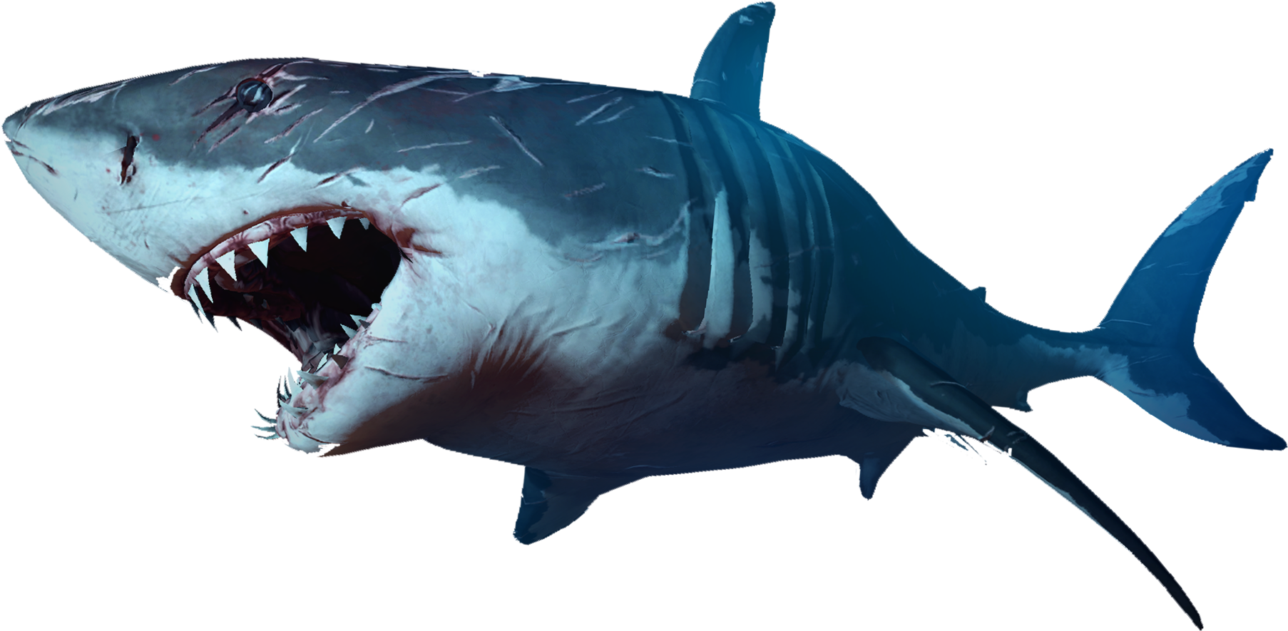 Shark - Shark (1920x1080)
