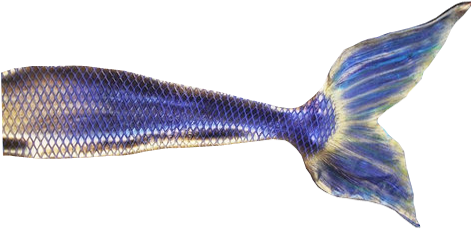 Octopus Transparent - Flying Fish (500x350)