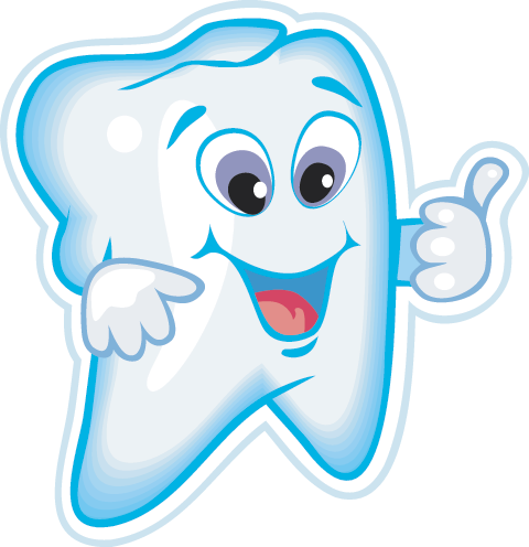 Tooth - ภาพ ฟัน Png (480x496)