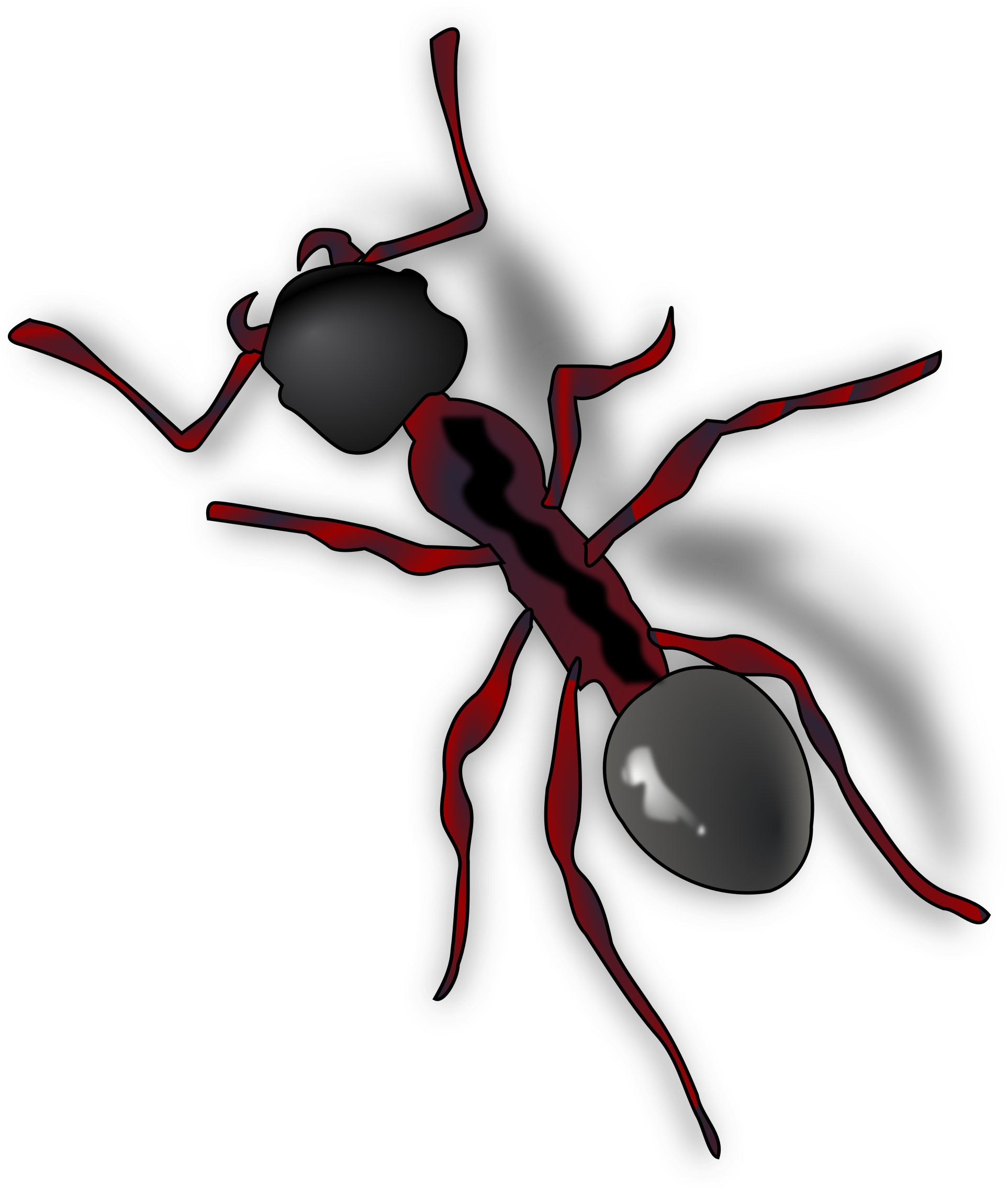 Transparent Background Ant Gif (2041x2400)