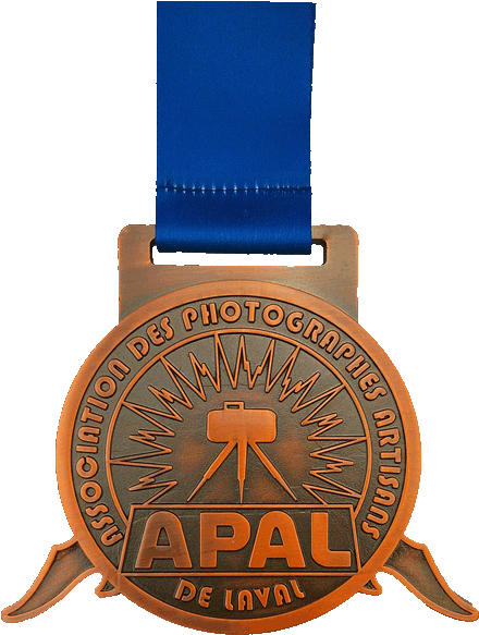 Medal (450x602)