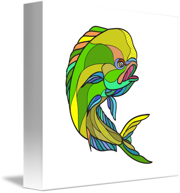 Dorado Fish (606x650)