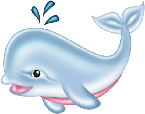 Festa - Wholphin (500x426)