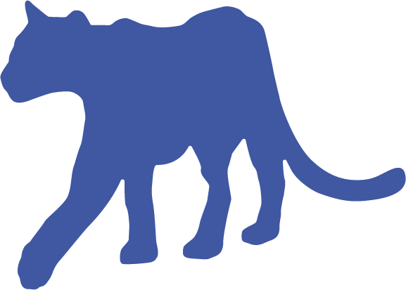 Cat Logo - Cat (577x413)